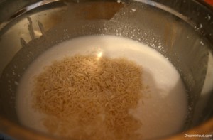 Ingrediants-for-coconur-milk-biryani