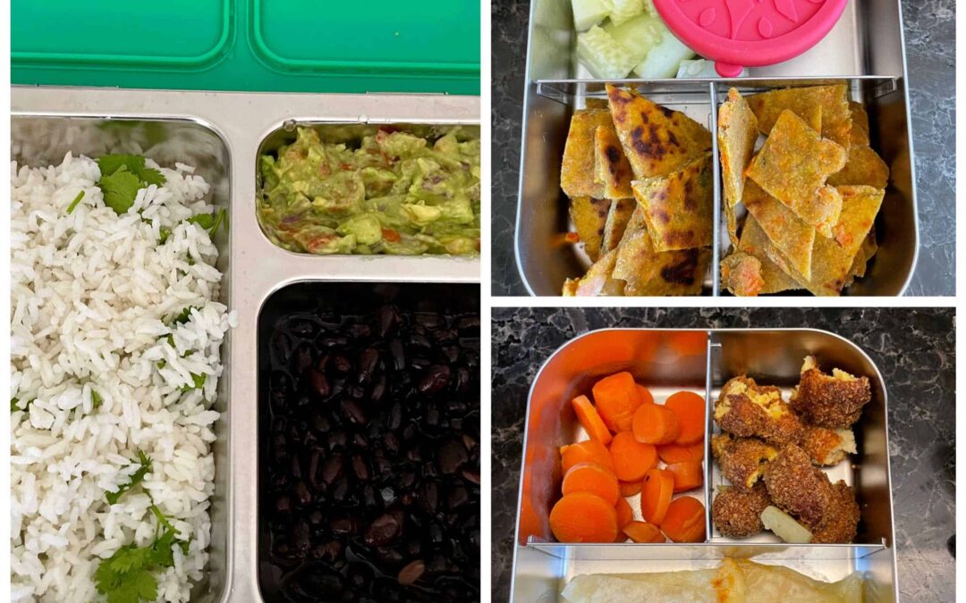 Easy Toddler Lunch box Ideas and recipes for Daycare- Week 1