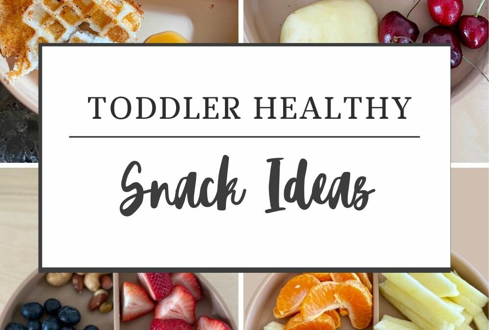 Quick and Healthy Toddler Snack Ideas and Recipes