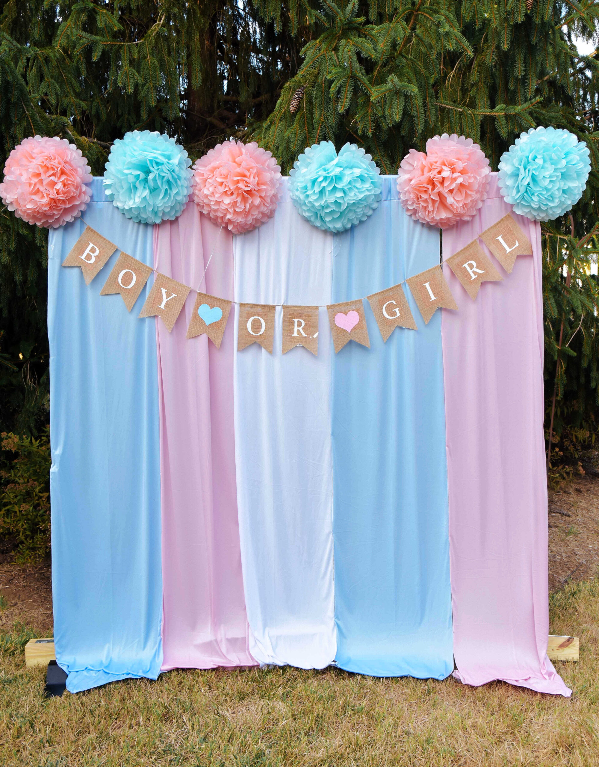 Our Sweet and Simple Gender Reveal Party- Eco-friendly Gender Reveal decor without Balloons by Top US mom Blogger Dreaming Loud