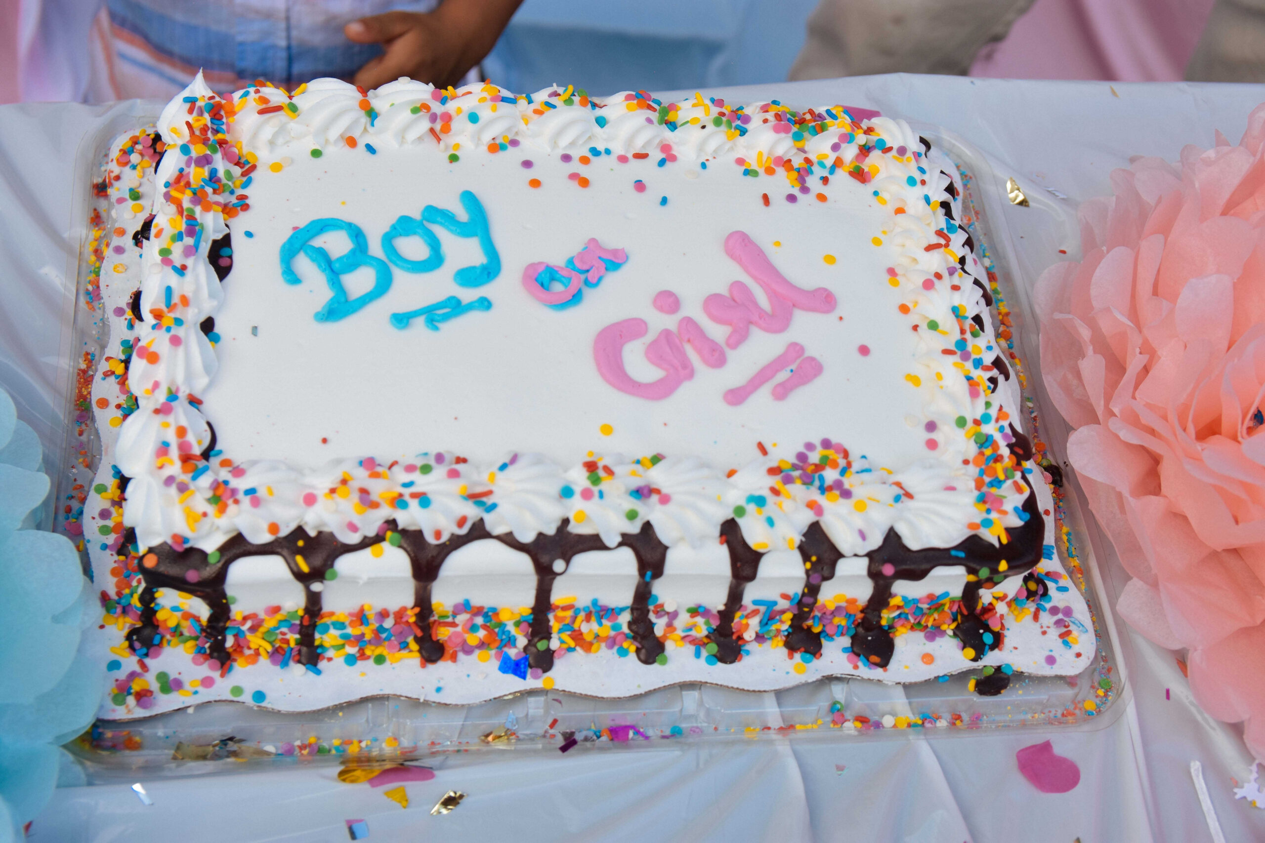 Our Sweet and Simple Gender Reveal Party- Gender Reveal Cake by Top US mom Blogger Dreaming Loud