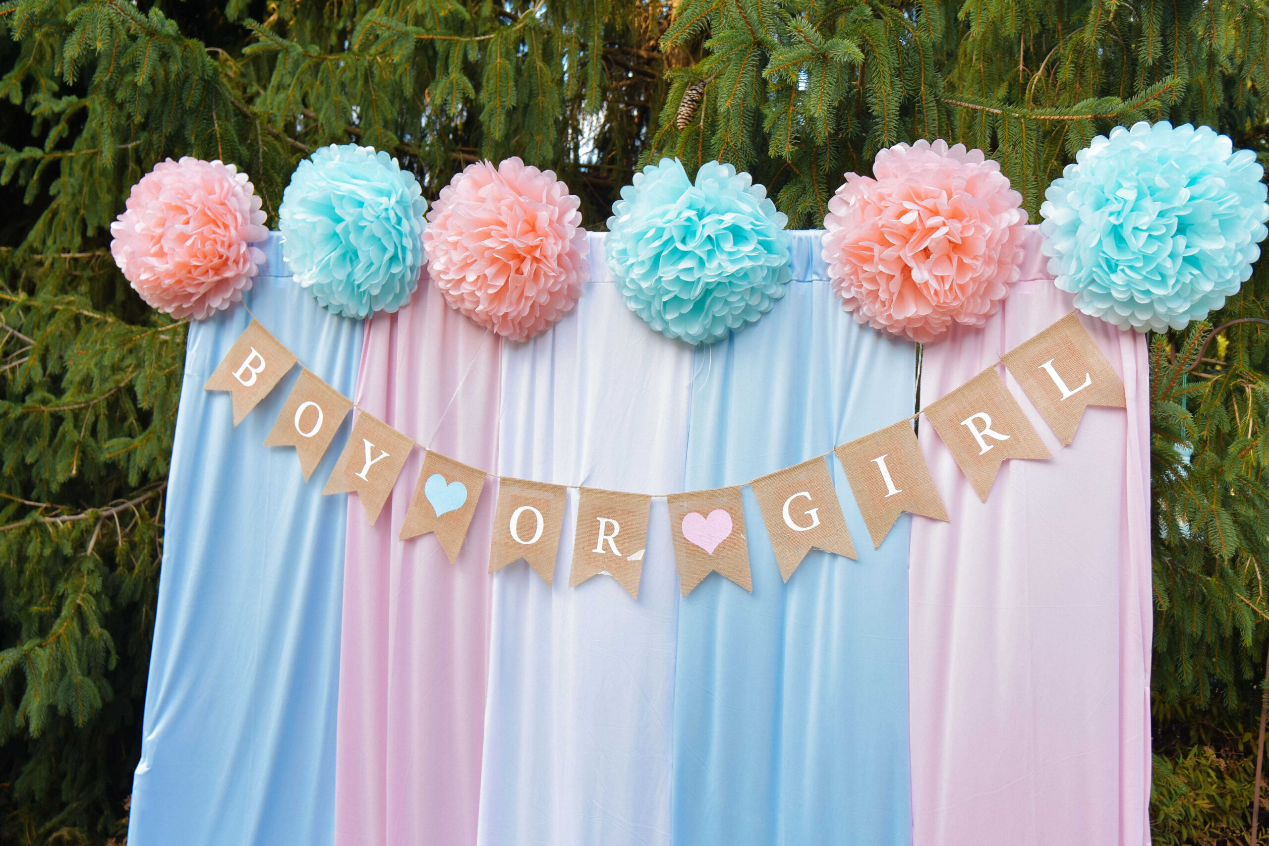 Our Sweet and Simple Gender Reveal Party- Eco-friendly Gender Reveal decor without Balloons by Top US mom Blogger Dreaming Loud