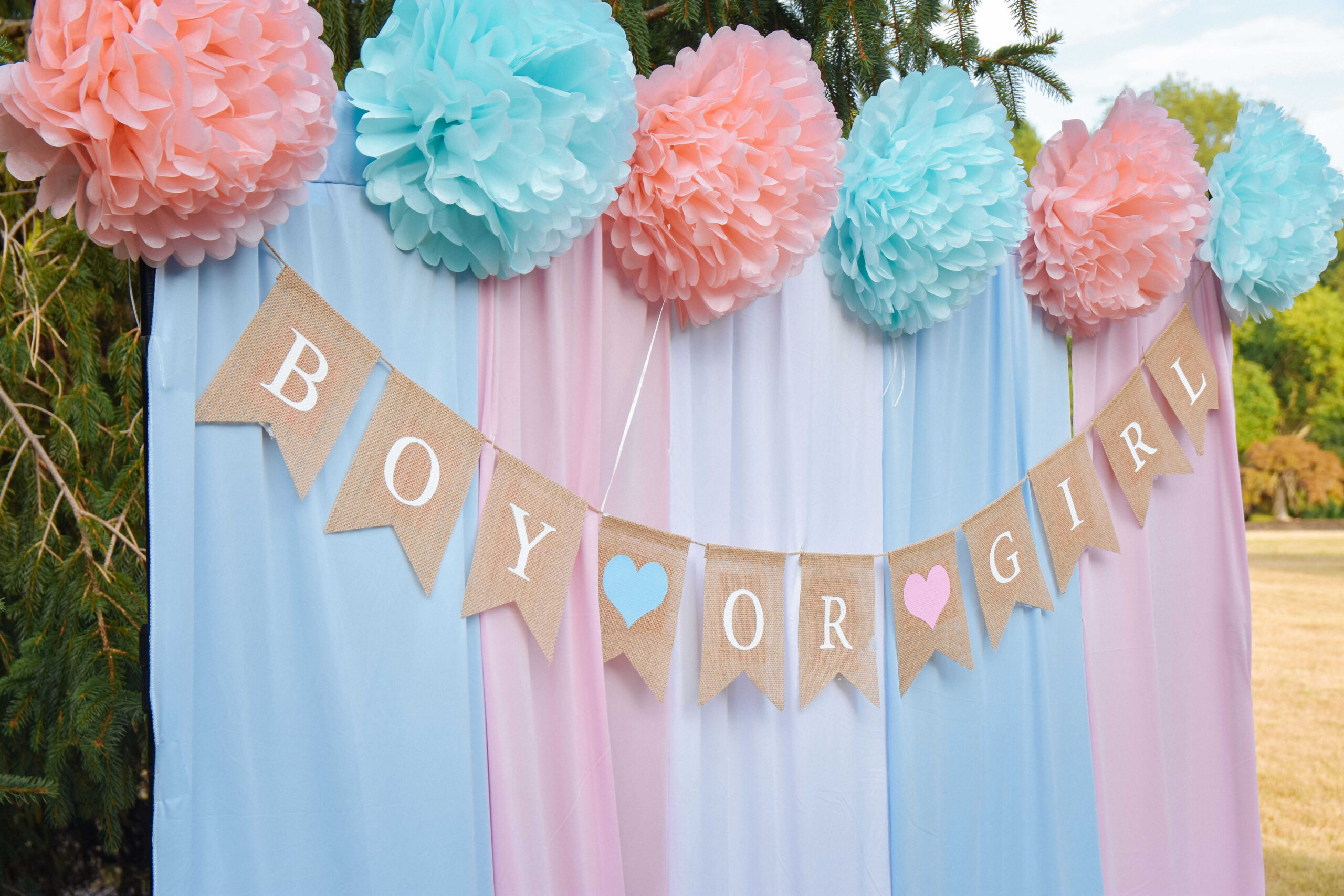 Our Sweet and Simple Gender Reveal Party- Eco-friendly Gender Reveal decor without Balloons by Top US mom Blogger Dreaming Loud